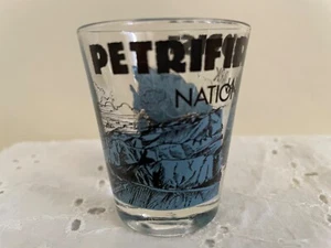 VERSTEINERTER FORREST Nationalpark Arizona Souvenir Schnapsglas SEHR GUT - Bild 1 von 4