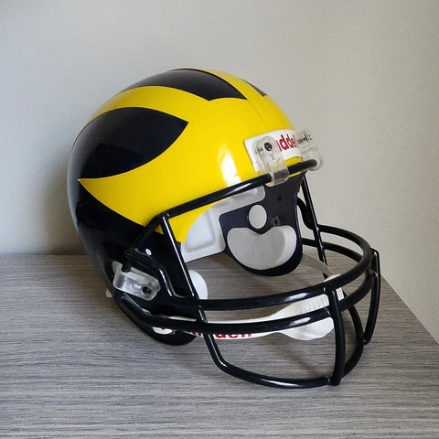Display Michigan Wolverines Riddell Speed Full Size Replica Football Helmet Cover