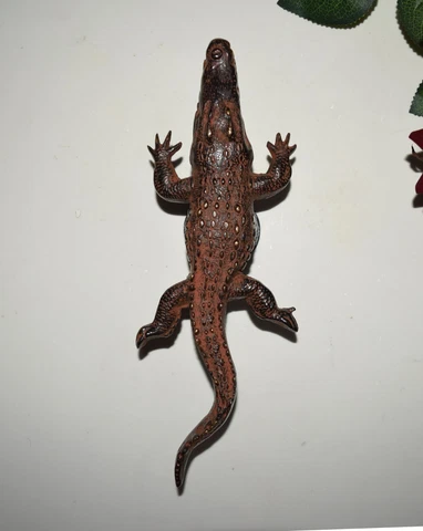 Brass Crocodile Shape Door Handle Wild Alligator Room Pull With Round Base HK438 Cover