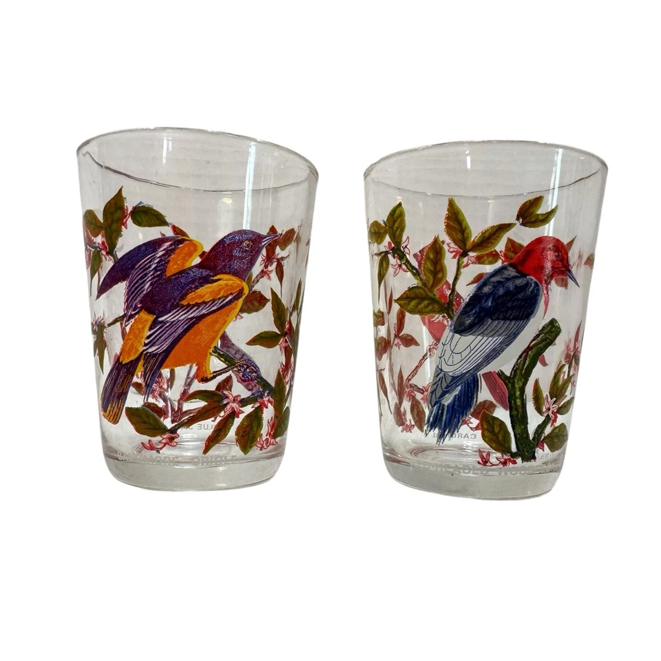 Винтажный набор из 2 стеклянных стаканов Arcoroc дятел кардинал синяя сойка иволга - Изображение 1 из 4
