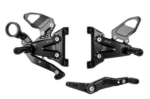Juegos traseros Bonamici de aluminio negro para BMW S1000R 2021-2024 - Imagen 1 de 4