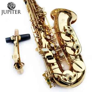 JAS-767 Alto Saxophone Brass Gold Lacquer Instrument Sax with Case Accessories - Picture 1 of 9