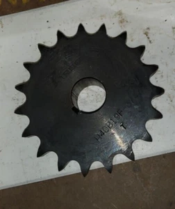 40 Series Sprockett with 3/4"Bore Keyway 19 TEETH - Picture 1 of 1