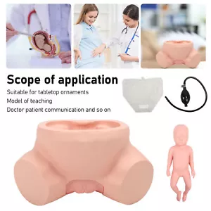 1:1 Life Size Midwifery Training Model Simulator Display Anatomy Female Chil FB9 - Picture 1 of 23