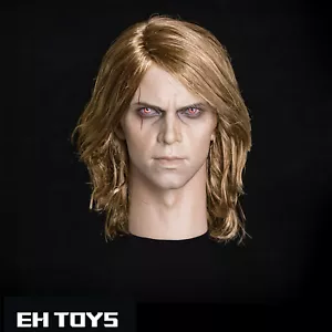 1/6 Scale Anakin Skywalker Enchanted Plant Hair Head Carving Fit 12'' Figure Bod - Picture 1 of 14