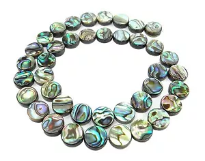 😏 Abalone Münzen Perlen 10 mm ( Seeopal / Perlmutt ) bunt schillernd Strang 😉 - Bild 1 von 1