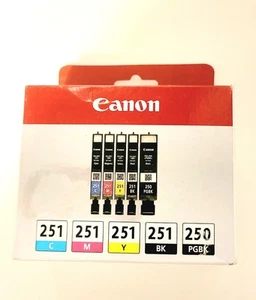 Tinta de color negra Canon PGI-250 CLI-251 paquete económico de 5 colores para impresoras PIXMA - Imagen 1 de 4