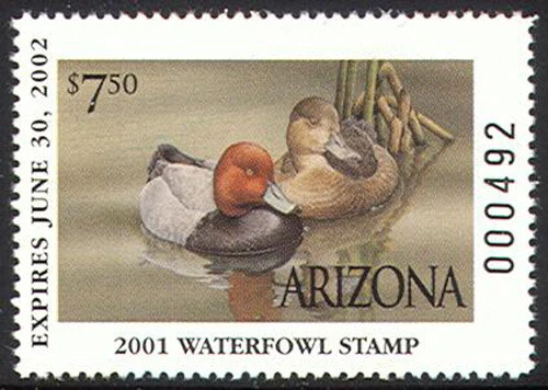 AZ15 2001 Arizona State Duck Stamp (MNH) - Image 1 of 1