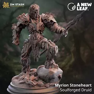 Myrion Stoneheart - Druida Forjado por el Alma - Imagen 1 de 1
