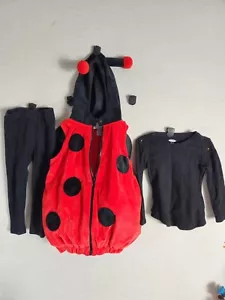 Dream Play Imagine Red Ladybug Hooded Halloween Costume w Pants Shirt Sz 24 Mths - Picture 1 of 8
