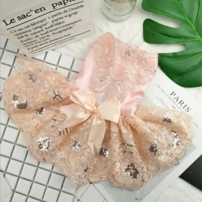 New Pet Dog Clothing Wedding Dress Lace Embroidery Cute Bow Small Dog Coat XS-XL - Image 1 of 4