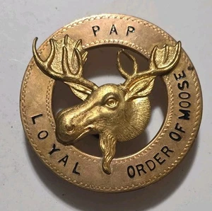 large 2" uniform pin or badge Loyal Order of the Moose Fraternal Club Past Admim - Picture 1 of 3