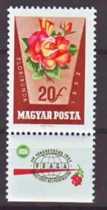 HUNGARY - 1962. Rose Culture, 20 f. stamp with bottom label - MNH - Picture 1 of 1