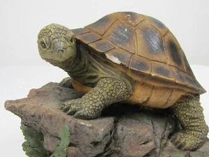 Schildkröte auf einem Felsen kleiner Chip auf Muschel - Bild 1 von 3