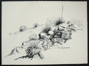 A. Sommers Vtg. Orig. Desert Landscape Drawing / Sketch w/ Yucca Plants, Rocks - Picture 1 of 3
