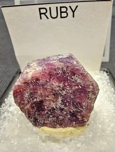 Ruby Specimen From Zomba Malawi Gem Crystal Mineral Specimen Great Gift - Picture 1 of 11