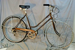 1975 Schwinn Collegiate Vintage Cruiser Bike 54cm Small Hybrid Steel USA Shipper - Picture 1 of 13