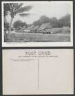 Singapore Old Postcard Malay Village Native Houses Huts on Stilts and Palm Tree
