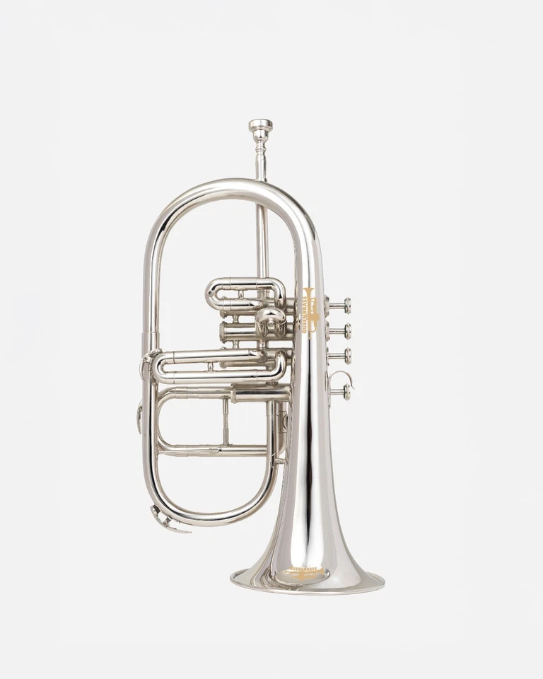 Nueva Edición NIQUELADO Bb-FLAT 4 VÁLVULAS FLUGEL BOCINA + ESTUCHE RÍGIDO GRATIS - ENVÍO Foto 1 de 4