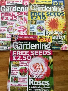 3 HEFTE AMATEUR GARTENZEITSCHRIFT, 2019 HERVORRAGENDER ZUSTAND - Bild 1 von 1