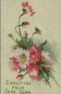 Olds IA Iowa Greetings Flowers rosa weiß geprägt 1908 Postkarte AP7 - Bild 1 von 2