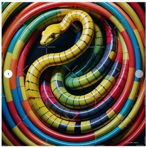 Poster Tube Snake Boogie - 33,1" x 33,1" - semi lucido - Foto 1 di 2