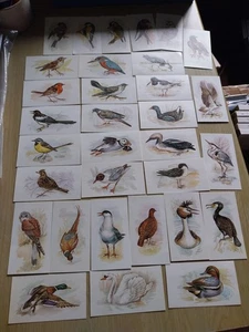 Grandee Cigar Cards British Birds Collection Full Set 32 Cards - Picture 1 of 2