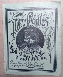 c1890's Peter Coddle's Visit to New York Game Reader Instructions Booklet - Picture 1 of 5