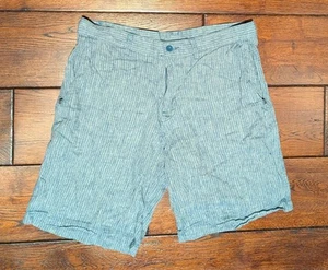 Patagonia Men's 10" Back Step Hemp & Organic Cotton Blue Striped Chino Shorts 33 - Picture 1 of 11