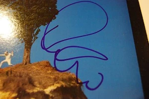Disco de vinilo firmado por Elvis Costello - autografiado audazmente en Good by Cruel World LP - Imagen 1 de 3