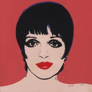 Andy Warhol Liza Minnelli #4 Canvas Print 17 x 17 - Picture 1 of 5