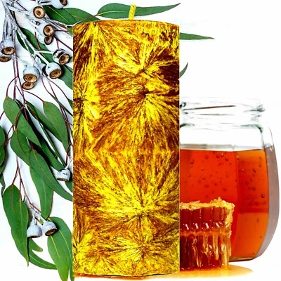 Eucalyptus & Honey Hand-Poured Pillar Candle Eco-Friendly Clean Burning Vegan - Image 1 of 4