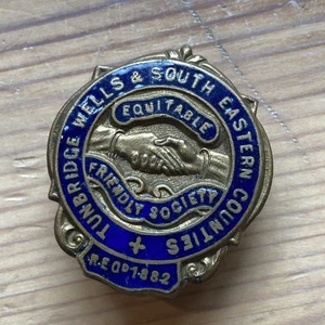 Vintage Enamel Lapel Badge - Tunbridge Wells & SE Counties Friendly Society - Picture 1 of 3