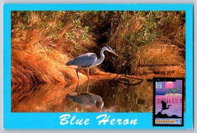 #4038 Largest Estuary Chesapeake Bay Maxi Card w/Pictorial Cancel - Image 1 of 2