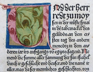 INKUNABEL,9. DEUTSCHE BIBEL,NÜRNBERG,KOBERGER,KOLORIERT,1483 SELTEN - Picture 1 of 3