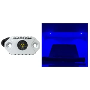 Black Oak Rock Accent Light - Blue LEDs - White Housing - Picture 1 of 1