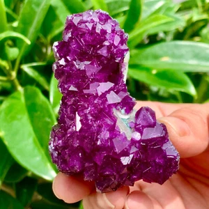 76g Rare Transparent Purple Cube Fluorite Mineral Crystal Specimen/China - Bild 1 von 18