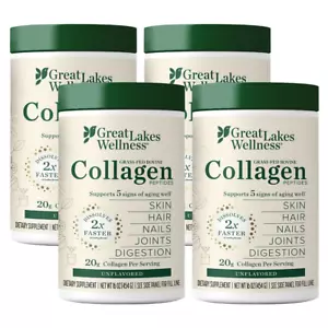 Great Lakes Collagen Peptides Powder Supplement for Skin Hair Nail Joints 4 Pack - Picture 1 of 11