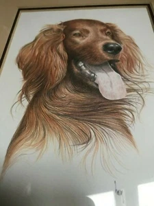 Irish Setter Dog Art Print New Sealed with Template 10x8 inch - Picture 1 of 4