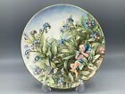 Border Forget Me Not Fairy Plate Flower Cicely Mary Barker (795) .