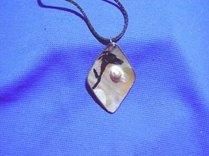 Whippet Greyhound Blister Shell necklace OOAK by Cindy A. Conter #11 Dog Jewelry - Picture 1 of 1