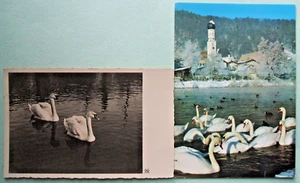 Postcards (2) - SWANS, GERMANY, BIRDS (ANBD1-5) - Picture 1 of 4