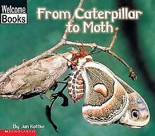 From Caterpillar to Moth (Welcome Books: How Things... | Buch | Zustand sehr gut