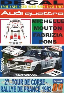 DECAL AUDI QUATTRO MICHELE MOUTON TOUR DE CORSE 1983 DnF (08) - Picture 1 of 1