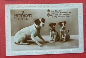Postkarte Ein Geburtstagswunsch Hund & Welpen RP - Bild 1 von 2