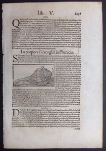 1 fg. Porpora Damasco Münster Cosmographia Universalis Byrckmanno Colonia 1575 - Imagen 1 de 2