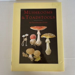 Mushrooms And Toadstools: An Illustrated Guide 1995 1st. English Edition - Foto 1 di 16