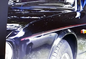 Jaguar XJ40 1986-1994 2 colour Body stripe Pinstripes Stripes Coachline kit - Picture 1 of 4