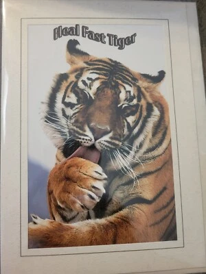 Tarjeta Get Well Foto 1 de 2