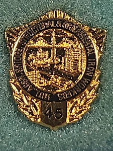 Int. Assn. Bridge Structural Ornamental Iron Workers 45 Year Pin 10k Gold Filled - Picture 1 of 3